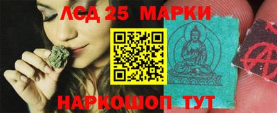 индика Боровичи