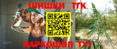 индика Боровичи