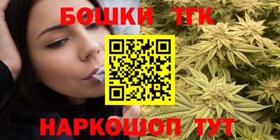 индика Боровичи