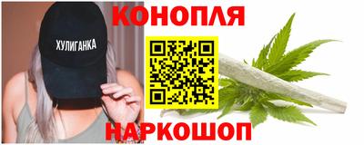 индика Боровичи
