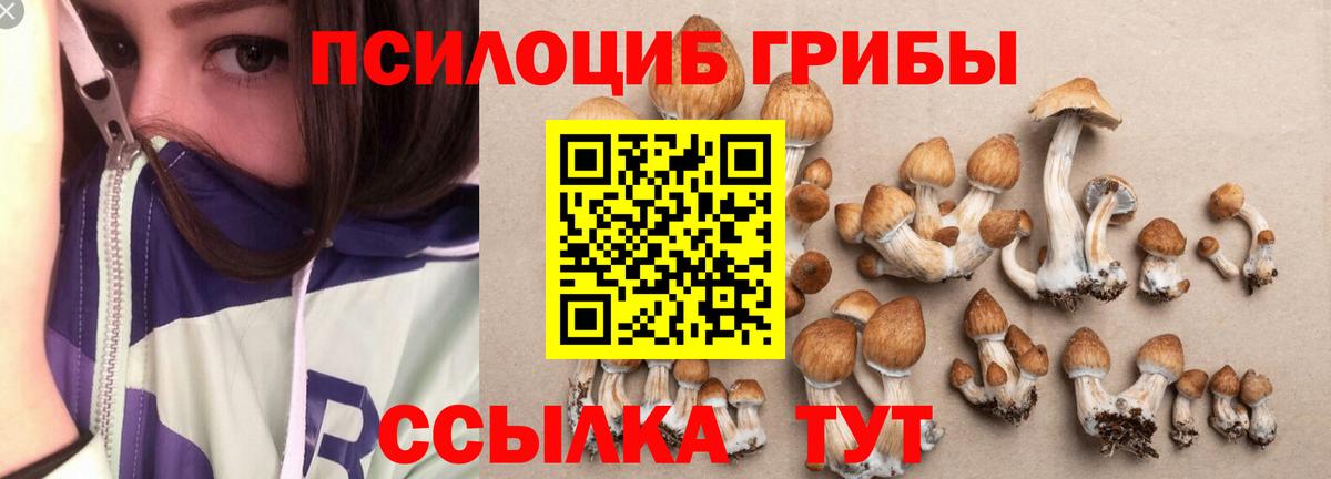 Галлюциногенные грибы мухоморы Верхняя Пышма